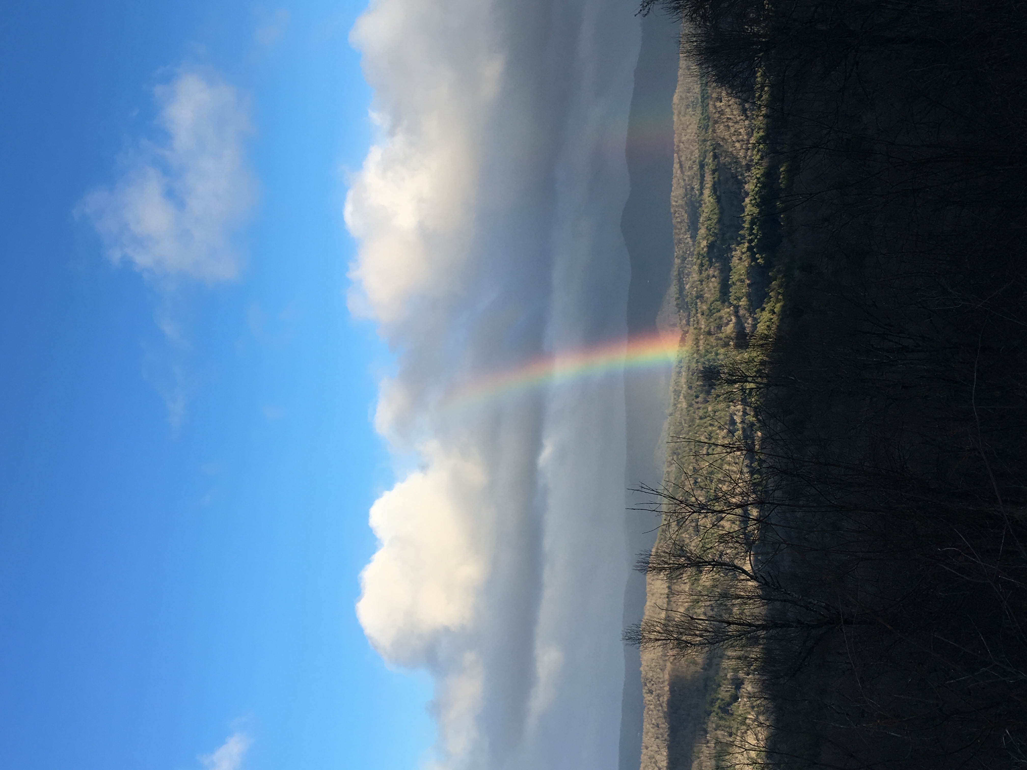 Martha Lois Reid Obituary, Hendersonville, NC