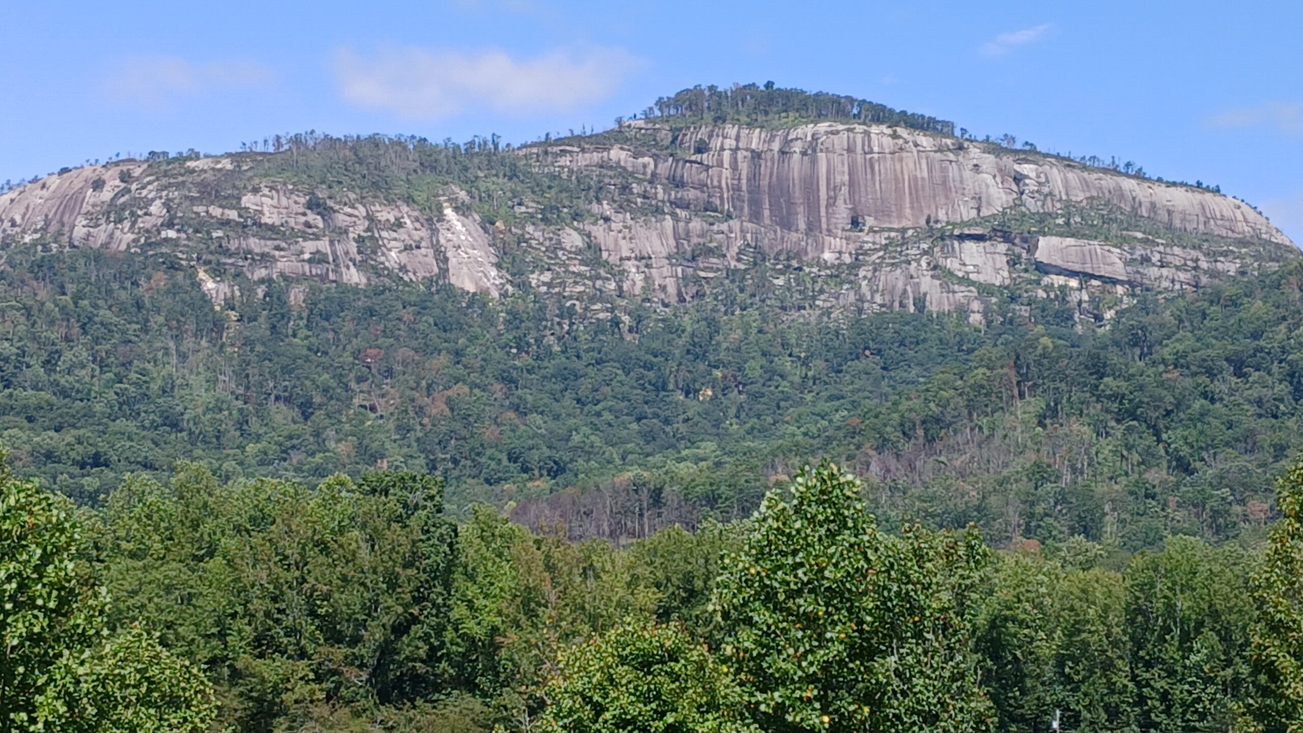 Patsy Ann Jackson Obituary, Hendersonville, NC