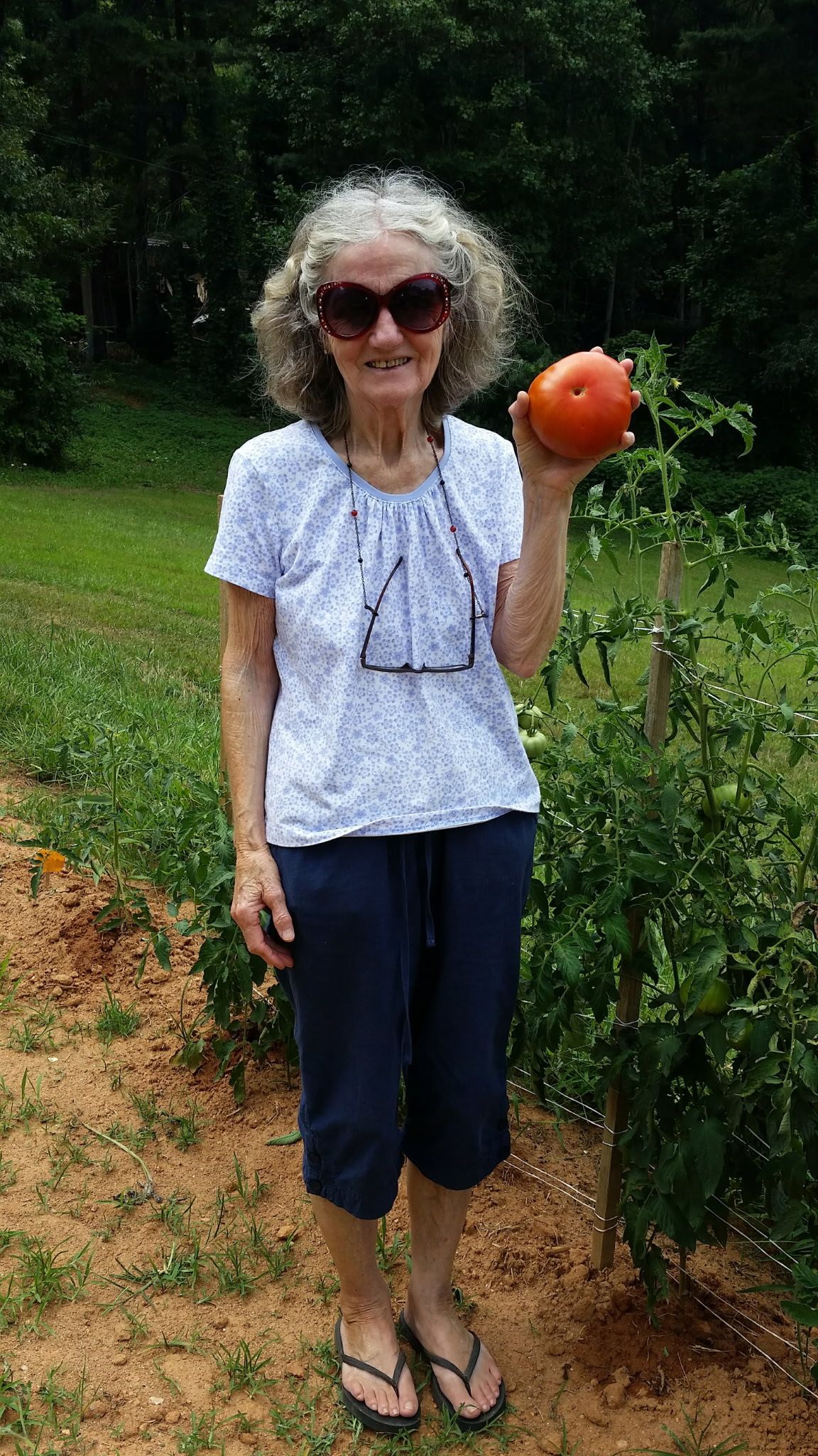 Virginia Faye Andrews Hendersonville, NC Obituary